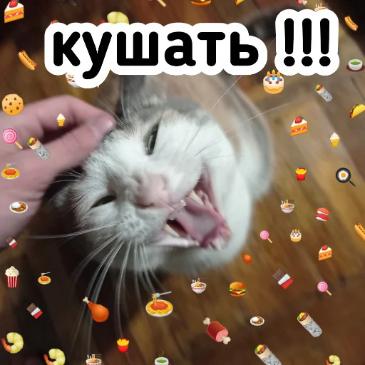 🌯 Стикер «Плод скуки будних дней» для Telegram