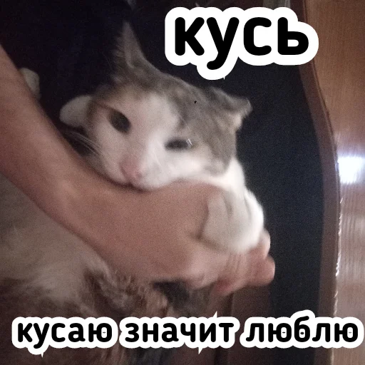 👄 Стикер «Плод скуки будних дней» для Telegram