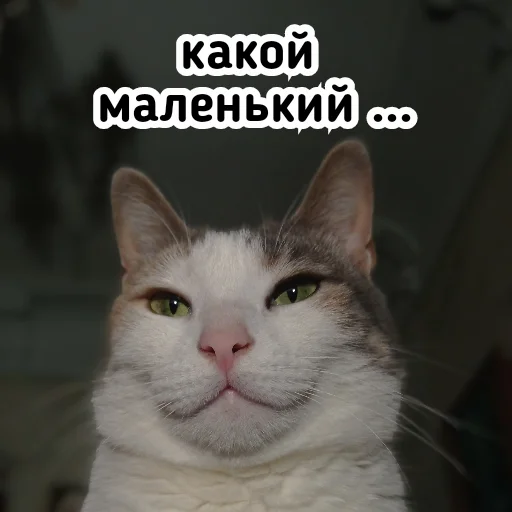 😏 Стикер «Плод скуки будних дней» для Telegram