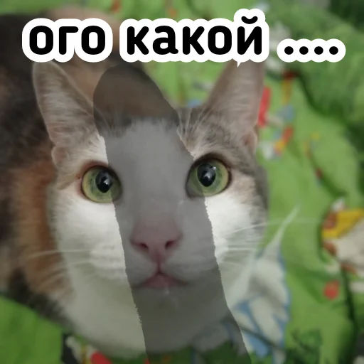 🍌 Стикер «Плод скуки будних дней» для Telegram