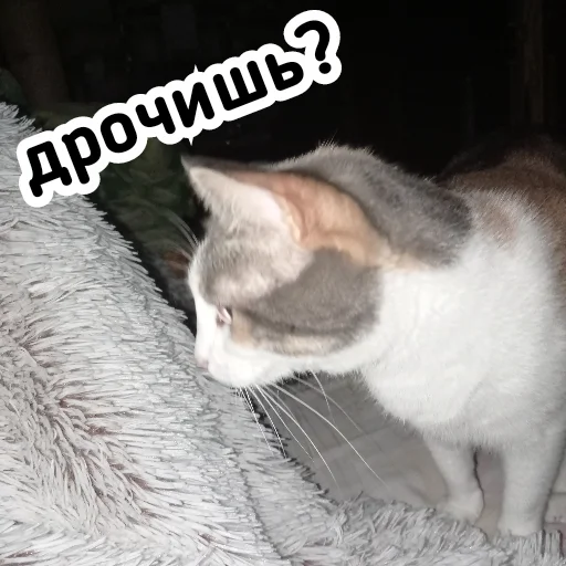 🧐 Стикер «Плод скуки будних дней» для Telegram
