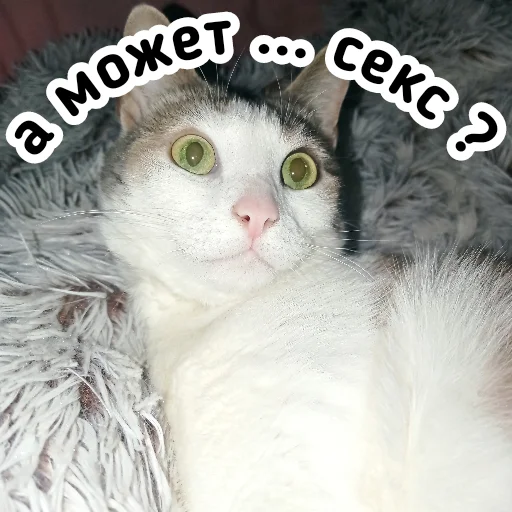 👌 Стикер «Плод скуки будних дней» для Telegram