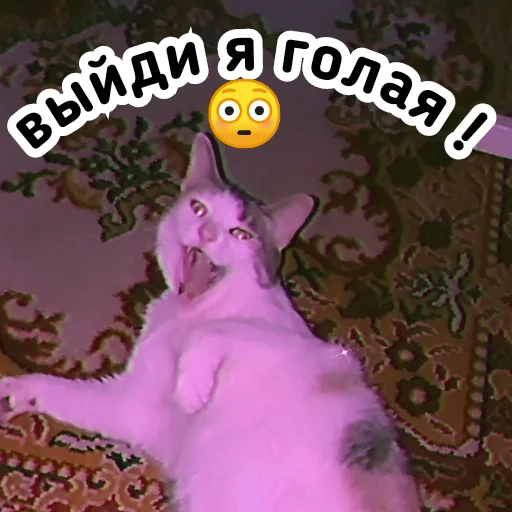 😳 Стикер «Плод скуки будних дней» для Telegram