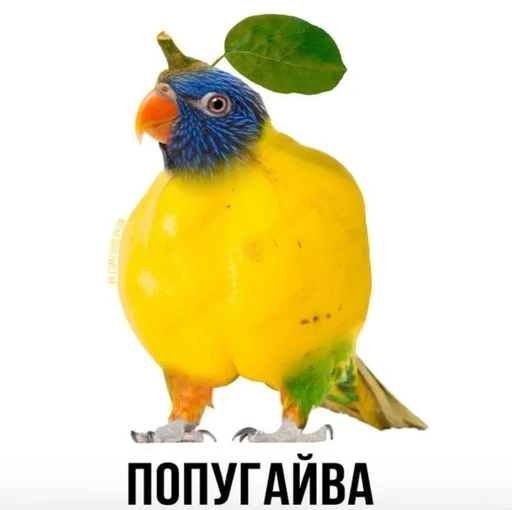 😀 Стикер «Слово+слово» для Telegram