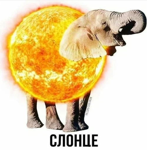 😀 Стикер «Слово+слово» для Telegram