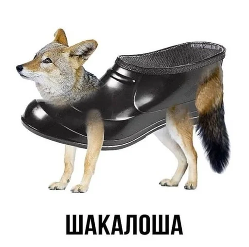 😀 Стикер «Слово+слово» для Telegram