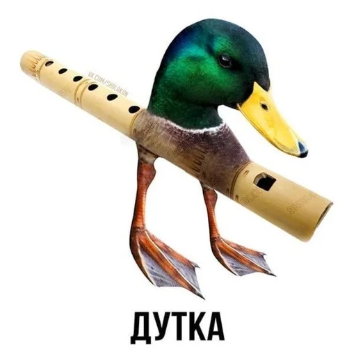 😀 Стикер «Слово+слово» для Telegram