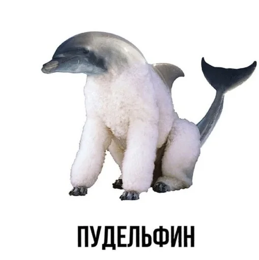 😀 Стикер «Слово+слово» для Telegram