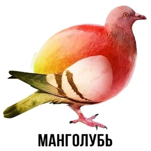 😃 Стикер «Слово+слово» для Telegram