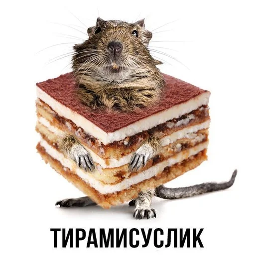 😀 Стикер «Слово+слово» для Telegram