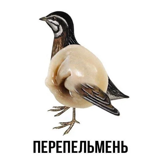 😀 Стикер «Слово+слово» для Telegram