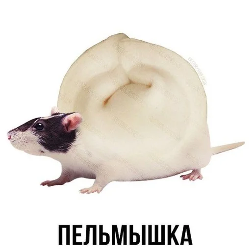 😀 Стикер «Слово+слово» для Telegram