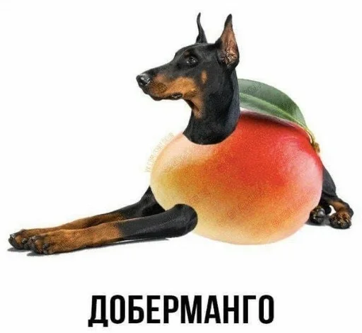 😀 Стикер «Слово+слово» для Telegram
