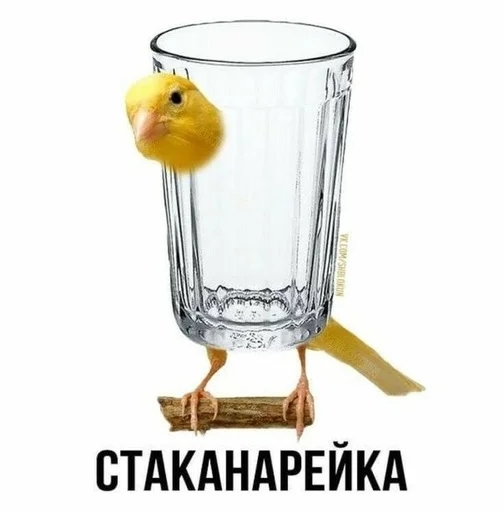 😀 Стикер «Слово+слово» для Telegram