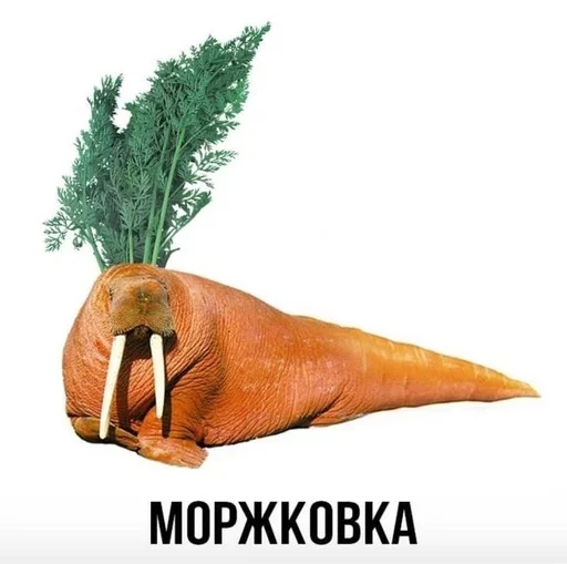 😀 Стикер «Слово+слово» для Telegram