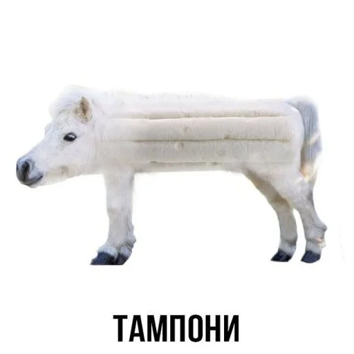 😀 Стикер «Слово+слово» для Telegram