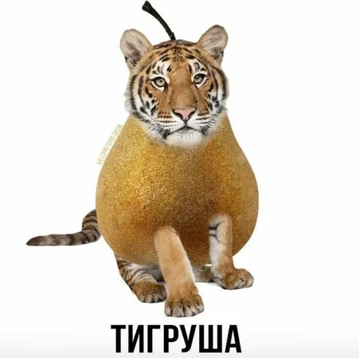 😀 Стикер «Слово+слово» для Telegram