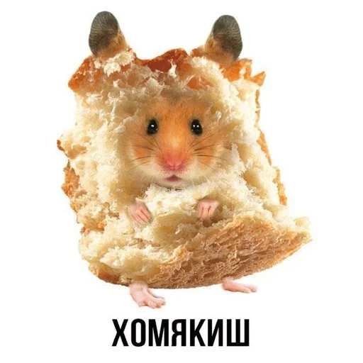 😀 Стикер «Слово+слово» для Telegram