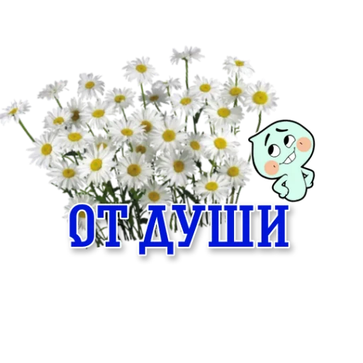 🌹 Стикер «workingy» для Telegram