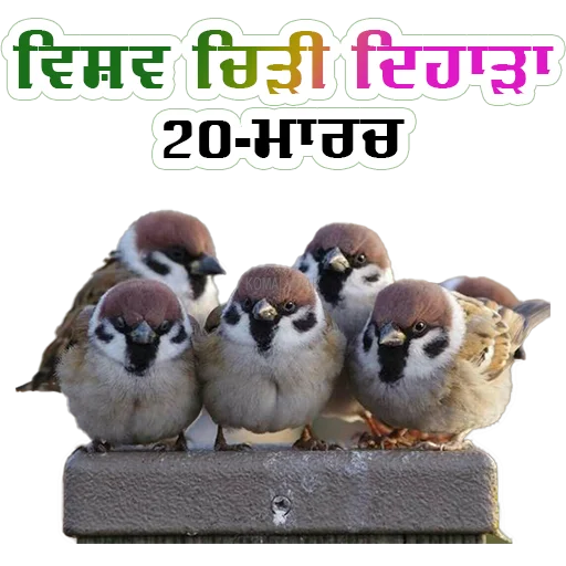 🌎 Стикер «World Earth Days» для Telegram
