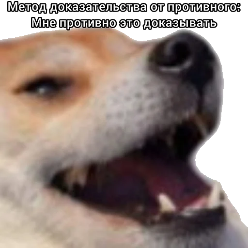 😂 Стикер «Math and Phys» для Telegram