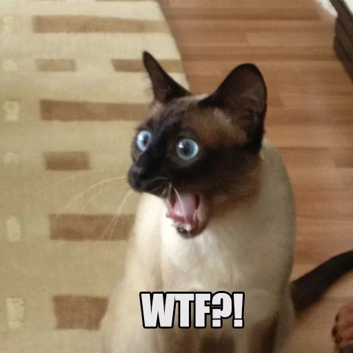 🎃 Стикер «WTF Cats» для Telegram