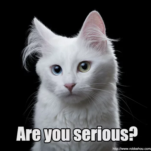 😼 Стикер «WTF Cats» для Telegram