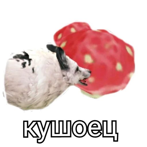 🍓 Стикер «WildCraft» для Telegram