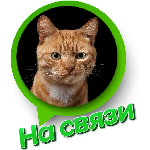 ✌️ Стикер «7baRu» для Telegram