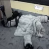 ⚰ Эмодзи «» для Telegram