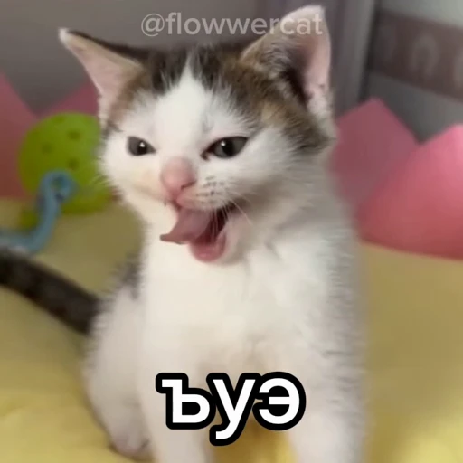 🤮 Стикер «xaomimi» для Telegram