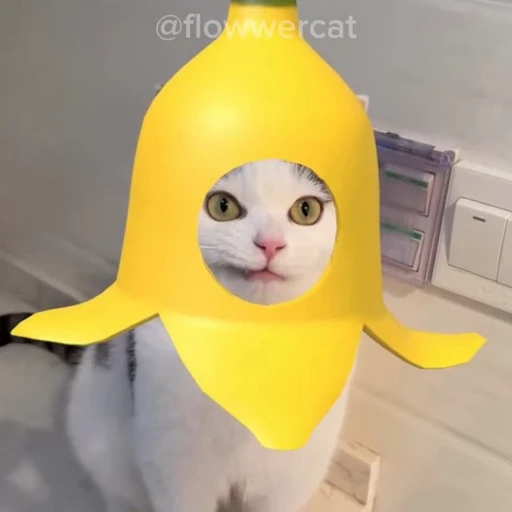 🍌 Стикер «xaomimi» для Telegram