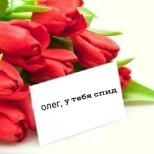💐 Стикер «Гдз по изо» для Telegram