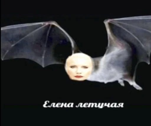 🦇 Стикер «Гдз по изо» для Telegram