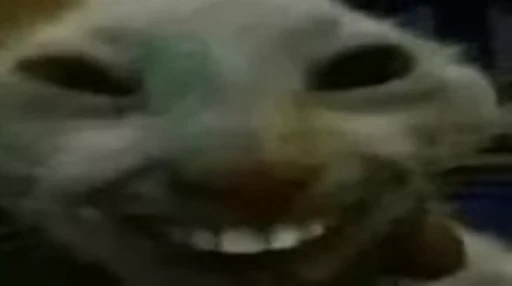 😼 Стикер «xdd» для Telegram