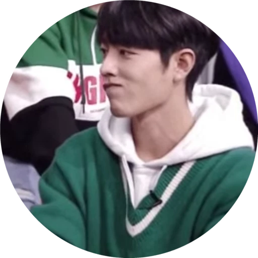🌟 Стикер «Xiao Zhan» для Telegram