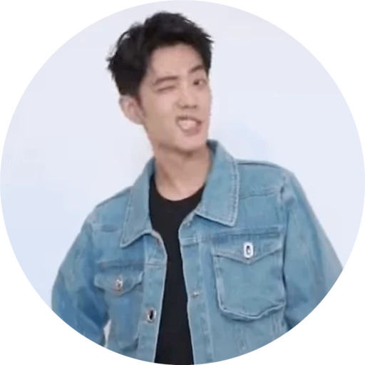 😼 Стикер «Xiao Zhan» для Telegram