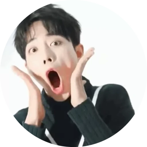 🌟 Стикер «Xiao Zhan» для Telegram