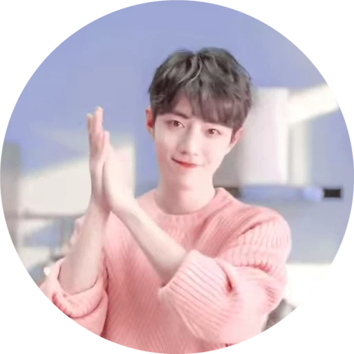 👏 Стикер «Xiao Zhan» для Telegram