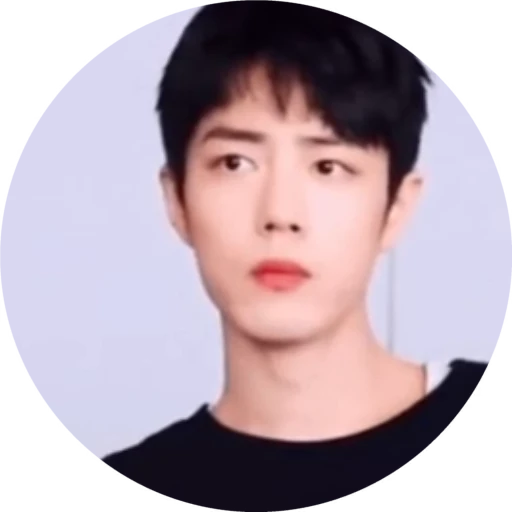 🤨 Стикер «Xiao Zhan» для Telegram