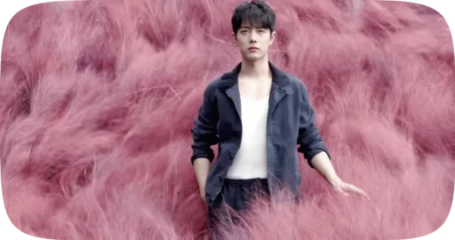 🌿 Стикер «Xiao Zhan» для Telegram