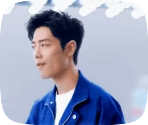 😉 Стикер «Xiao Zhan» для Telegram