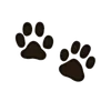 🐾 Эмодзи «Xilonen» для Telegram