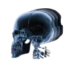 👀 Эмодзи «xix-emoji» для Telegram
