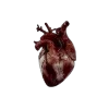 ❤️ Эмодзи «xix-emoji» для Telegram