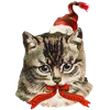 🎅 Эмодзи «xmas winter» для Telegram