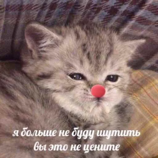 🤡 Стикер «Bruuh» для Telegram