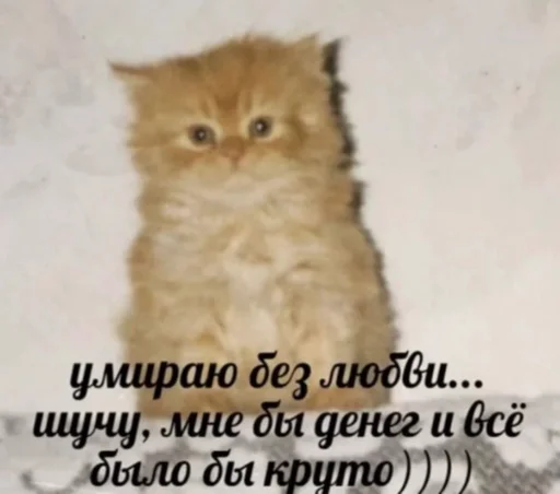 😢 Стикер «Bruuh» для Telegram