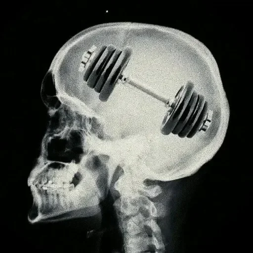 🧠 Стикер «xoxolka666» для Telegram