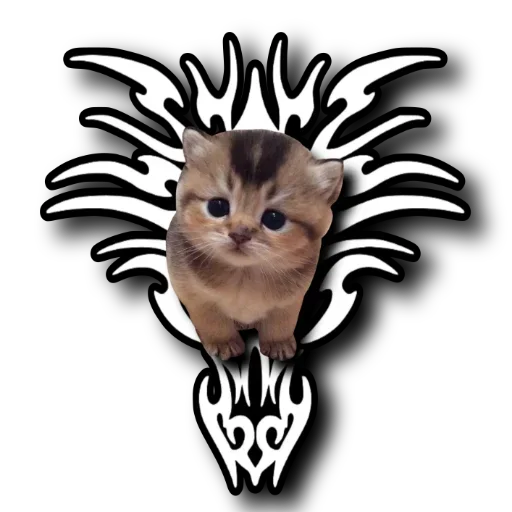 🐈 Стикер «xoxolka666» для Telegram